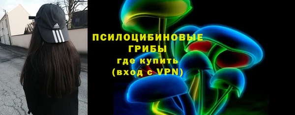 молекула духа Алзамай
