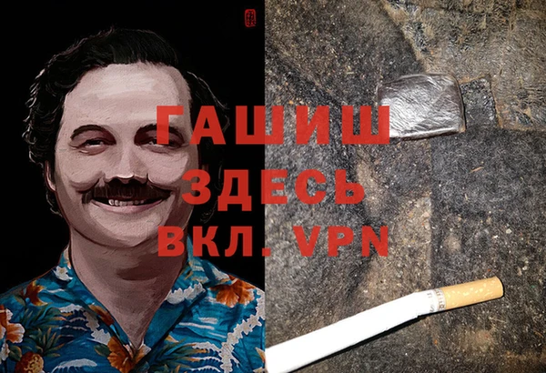 дмт Алексин