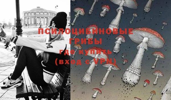 молекула духа Алзамай
