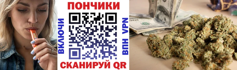 Купить где  Ставрополь  Бошки марихуана планчик 